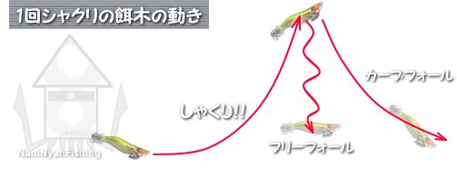 最速 エギング 時期 九州