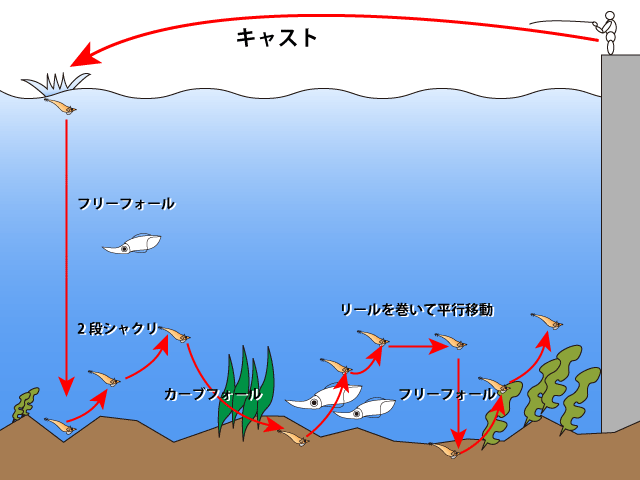 イカ釣りの時期 九州 宮崎 初心者でも釣れる仕掛けや道具 場所を紹介 けいちょんの釣り情報局