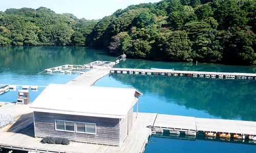 長崎 家族で釣りに行くならここ おすすめポイント５選 けいちょんの釣り情報局