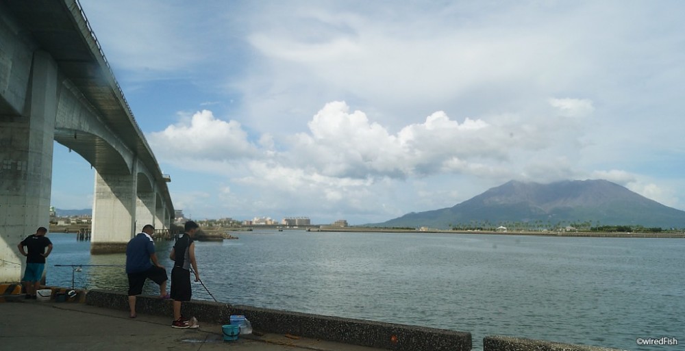 【鹿児島】家族で釣りに行くならここ！おすすめポイント5選！ けいちょんの釣り情報局