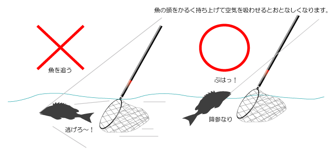 玉網 たも網 でおすすめしたい厳選１０選を紹介 使い方も解説 けいちょんの釣り情報局