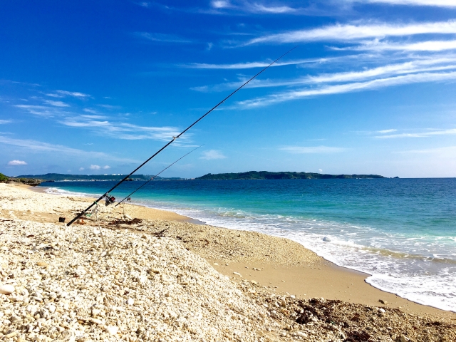 夏に釣れる魚種は何がある 狙えるターゲットtop5を紹介 けいちょんの釣り情報局