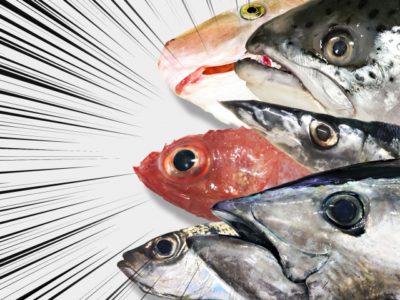 魚拓の取り方と手順はどうするの 一生の思い出を残そう けいちょんの釣り情報局