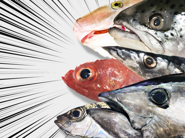 海釣りの魚で釣って美味しいものtop５を紹介 No１に輝いたのは けいちょんの釣り情報局