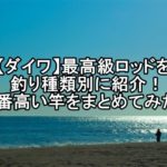 釣りガールりんかの不正疑惑とは 旦那や彼氏についても調査してみた 釣りプレ